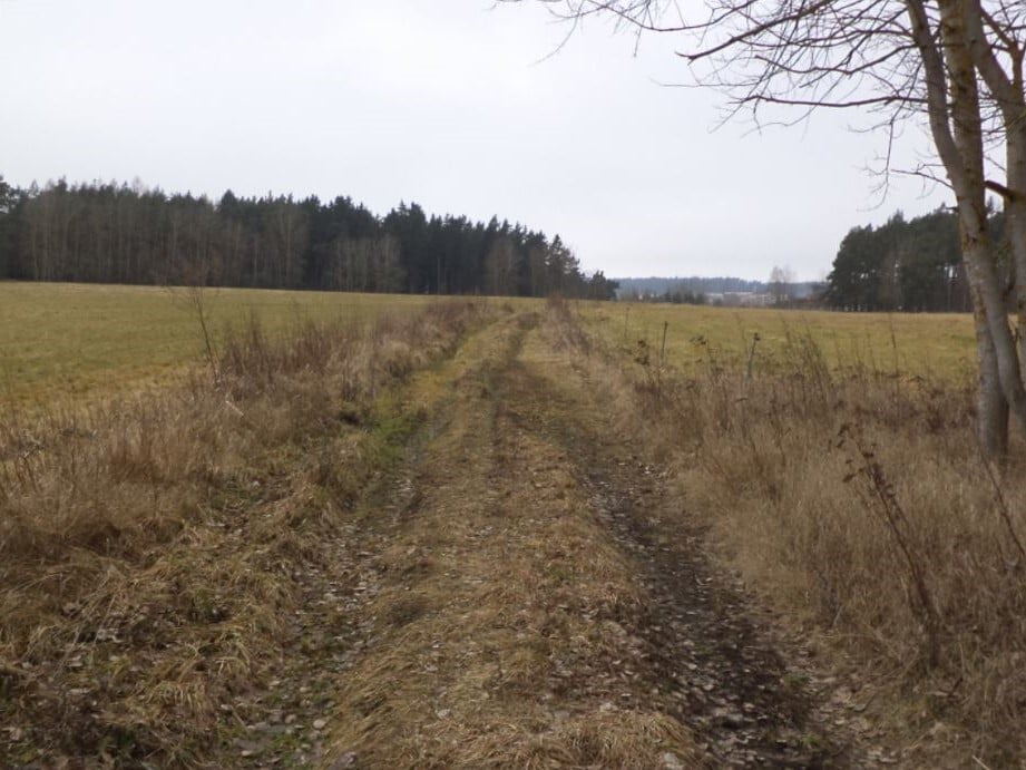 Pozemek o velikosti 3739m2, Lom u Tachova