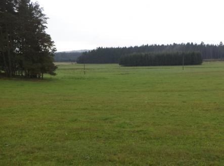 Prodej - pozemek, trvalý travní porost, 10 628 m²