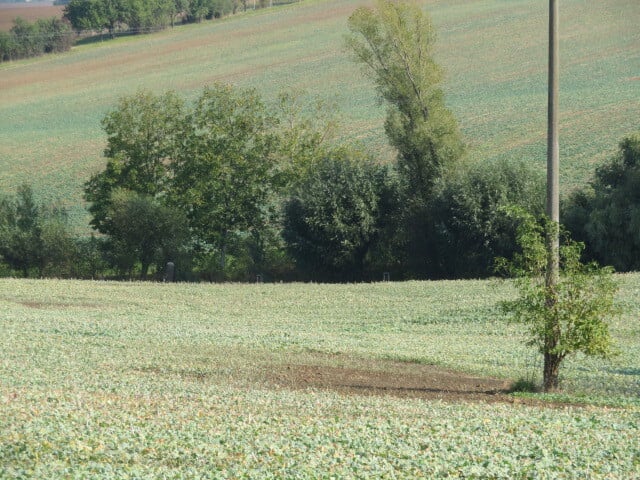 Pozemek o velikosti 323m2, Pavlovice u Kojetína, podíl 1/2