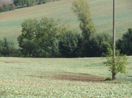 Prodej - pozemek, zemědělská půda, 323 m²