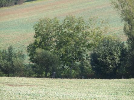 Prodej - pozemek, zemědělská půda, 323 m²