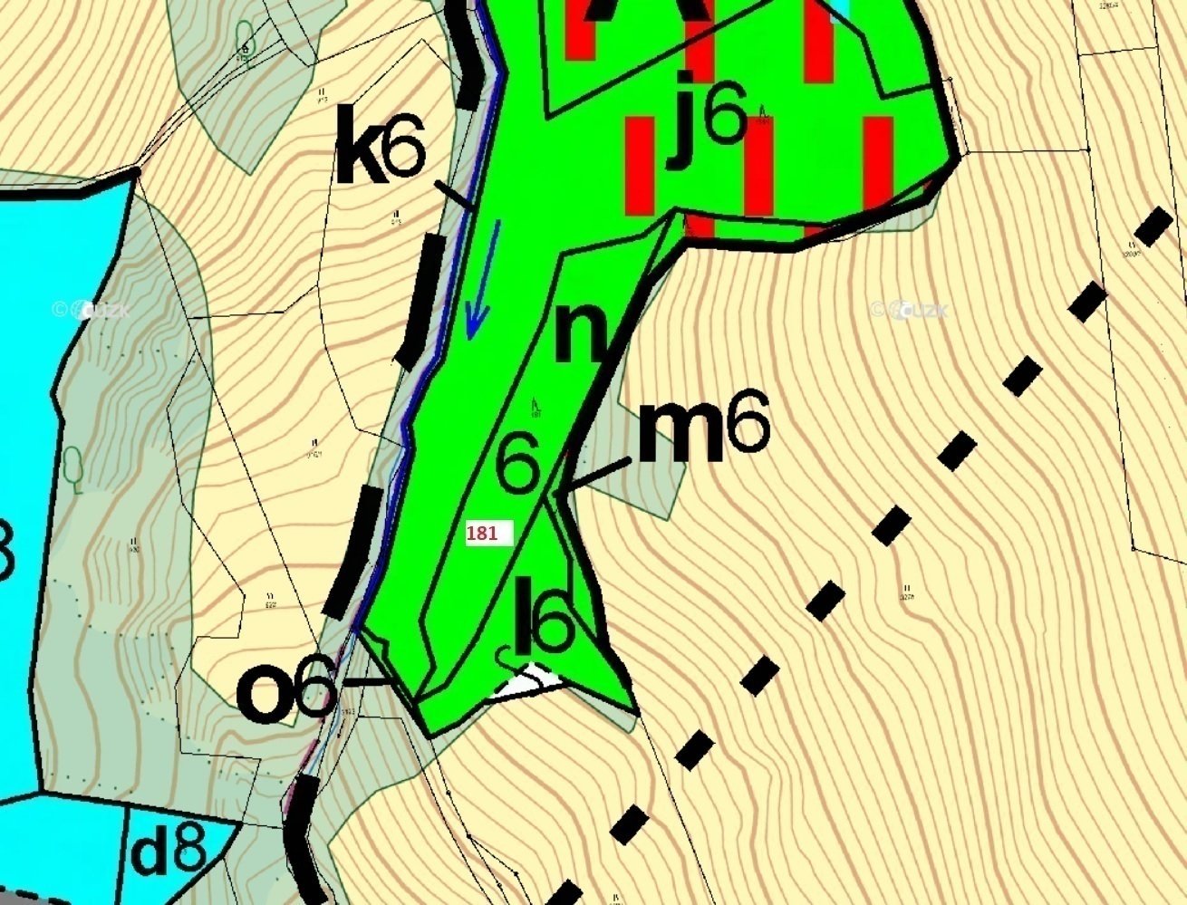 Lesní pozemek o výměře 3 014 m2, podíl 1/1, k.ú. Pozlovice, okres Zlín