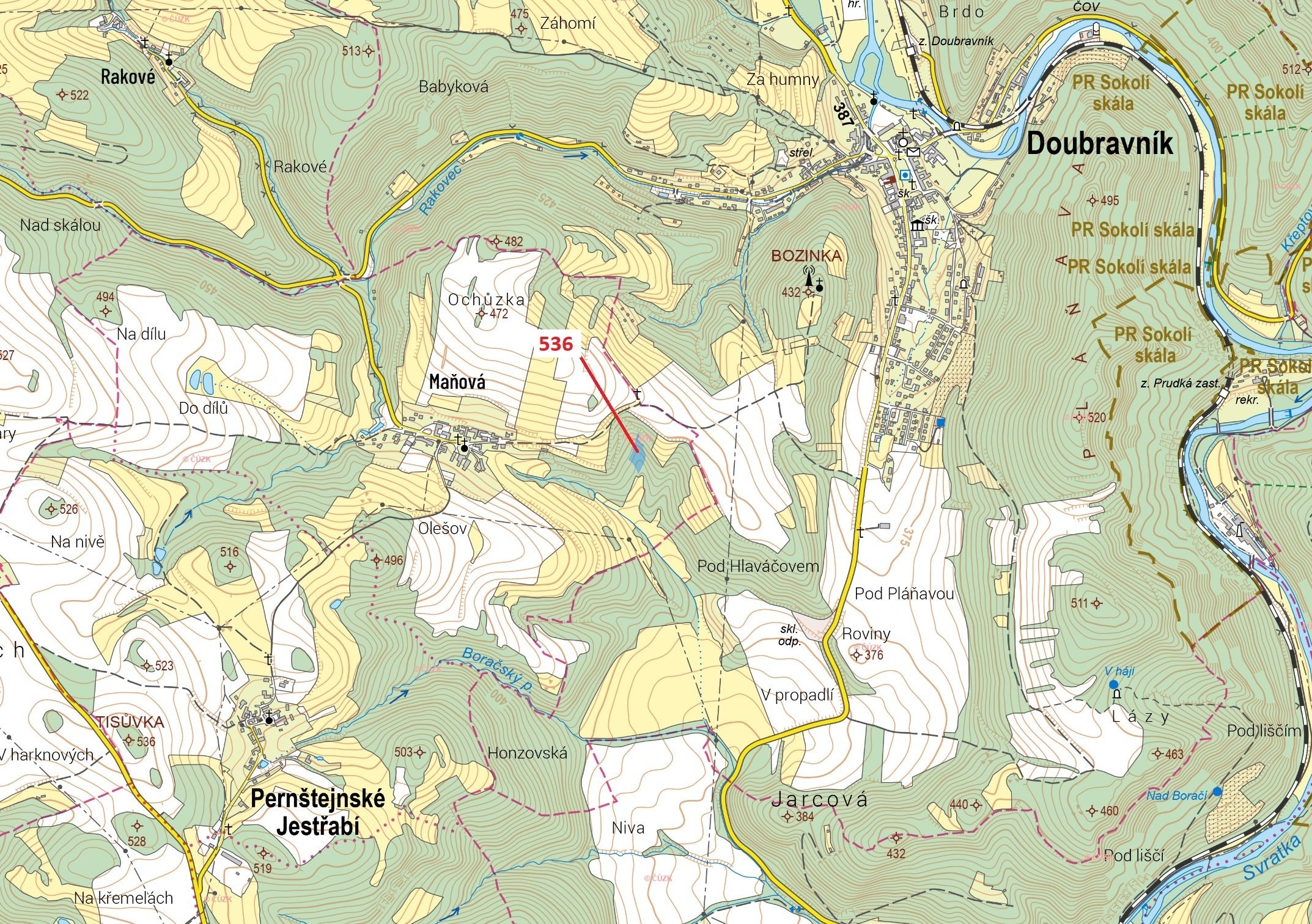 Lesní pozemek o výměře 3313 m2, podíl 1/1, k.ú. Maňová, okres Brno-venkov