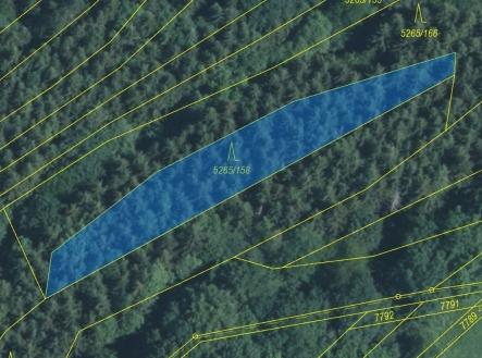 Prodej - pozemek, les, 1 065 m²