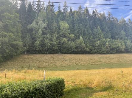 Prodej - pozemek, trvalý travní porost, 10 518 m²