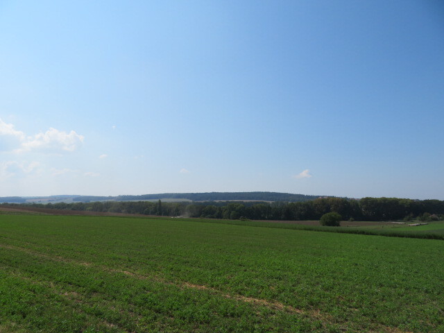 Pozemek o velikosti 3170m2,  Semechnice, podíl 1/2 (připojen podíl 1/58 na TTP a podíl 1/112 na osta