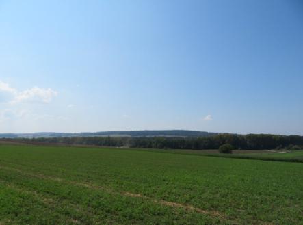 Prodej - pozemek, zemědělská půda, 6 488 m²