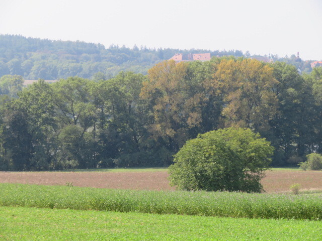 Pozemek o velikosti 3170m2,  Semechnice, podíl 1/2 (připojen podíl 1/58 na TTP a podíl 1/112 na osta