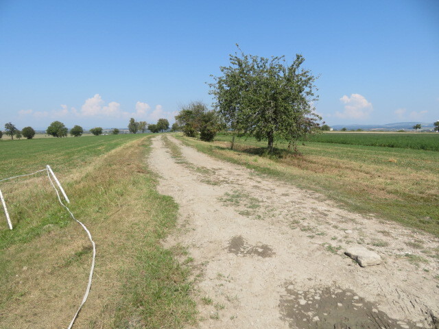 Pozemek o velikosti 3170m2,  Semechnice, podíl 1/2 (připojen podíl 1/58 na TTP a podíl 1/112 na osta