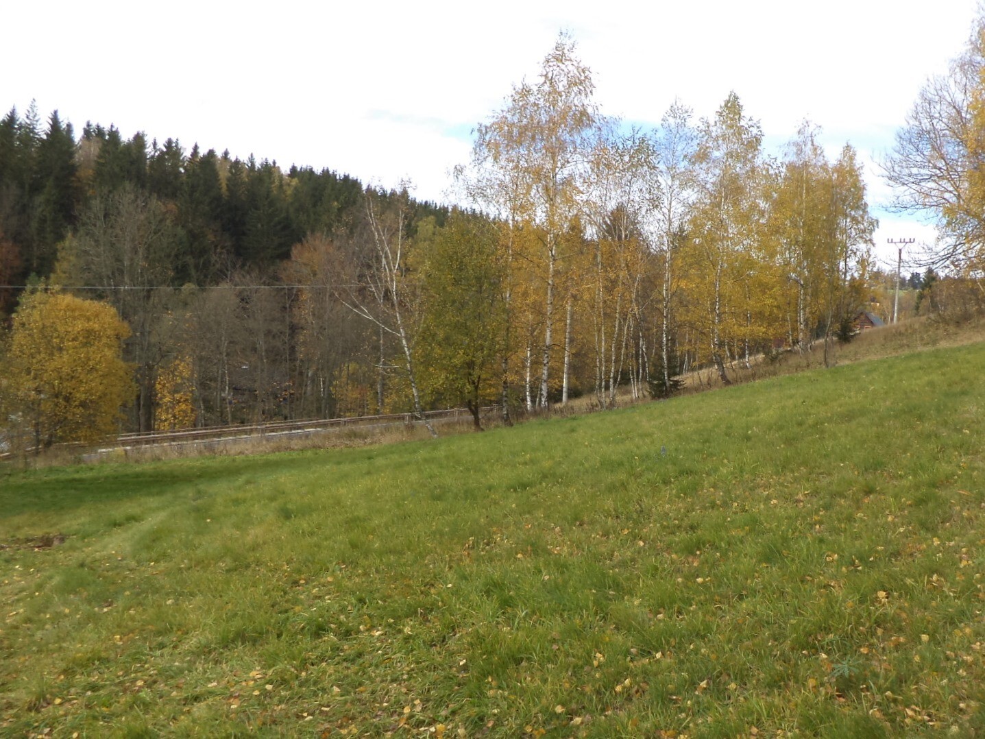 Stavební pozemek o velikosti 3863m2, Říčky v Orlických horách