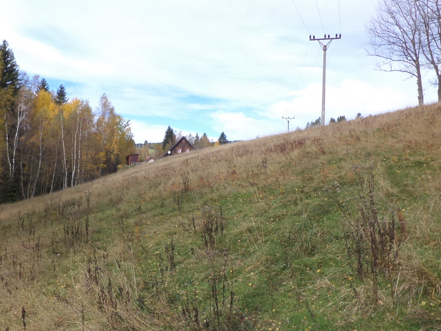 Stavební pozemek o velikosti 3863m2, Říčky v Orlických horách