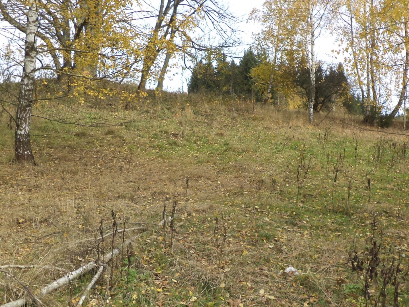 Stavební pozemek o velikosti 3863m2, Říčky v Orlických horách