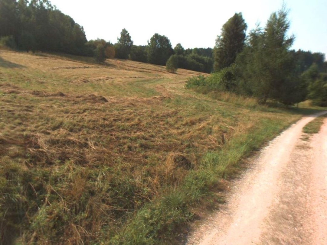 Pozemek o velikosti 15834m2, CHotěvice