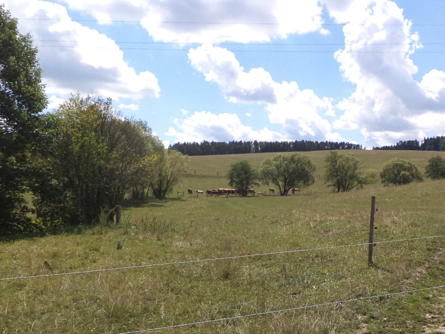 Pozemky o velikosti 16521m2, Nevšová