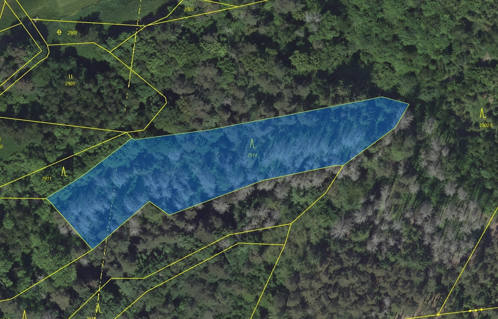 Lesní pozemek o výměře 4 105 m2, podíl 1/1, k.ú. Kácov, okres Kutná Hora