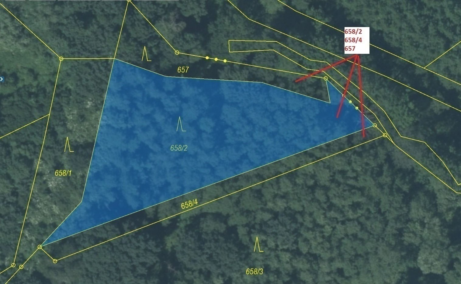 Lesní pozemky o výměře 2 890 m2, podíl 1/1, k.ú. Kletné, okres Nový Jičín