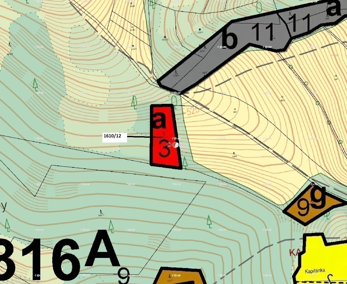 Lesní pozemek o výměře 1 793 m2, podíl 1/1, k.ú. Hovězí, okres Vsetín