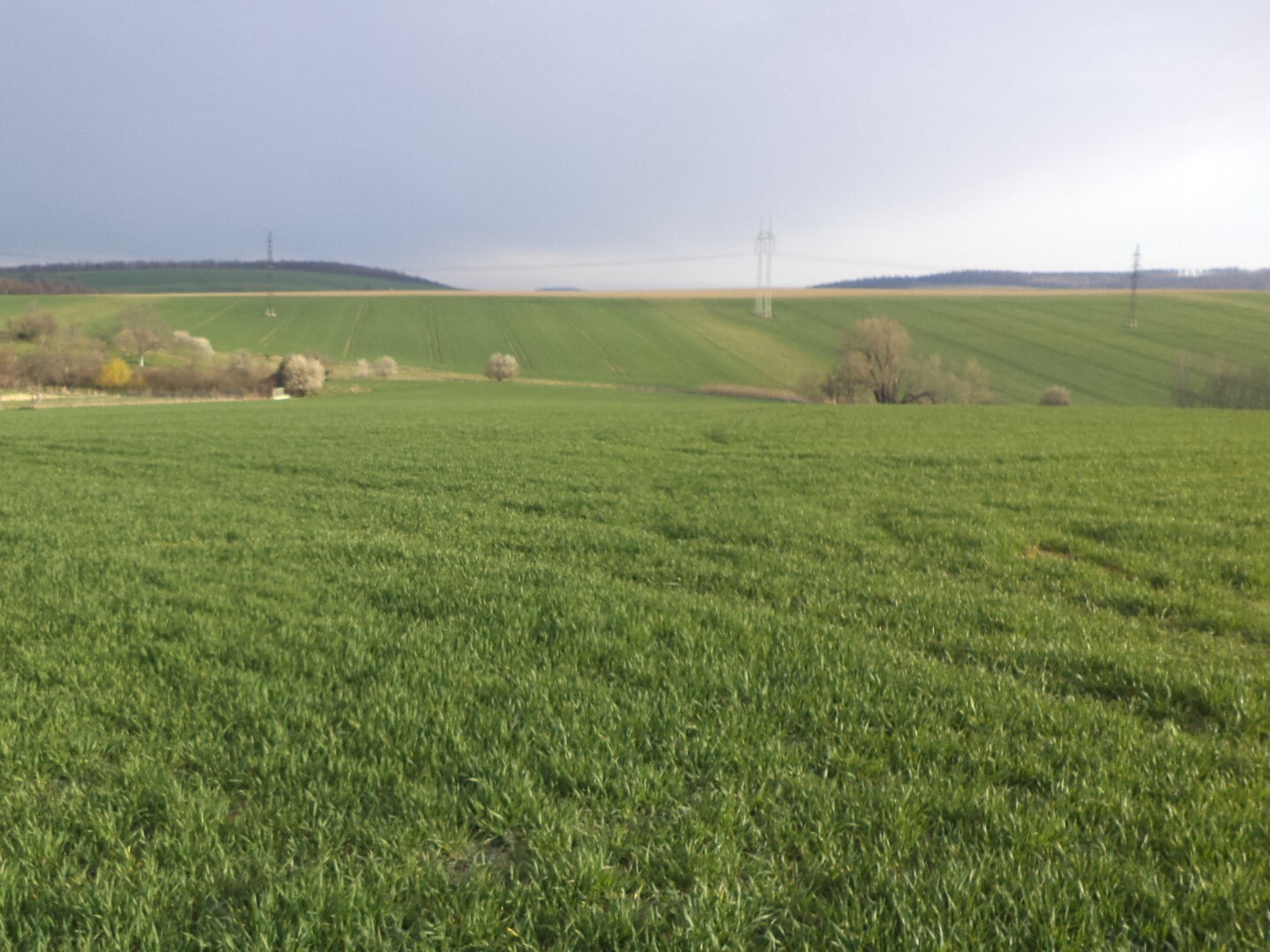 Pozemky o velikosti 12207m2, Lhotka u Kroměříže