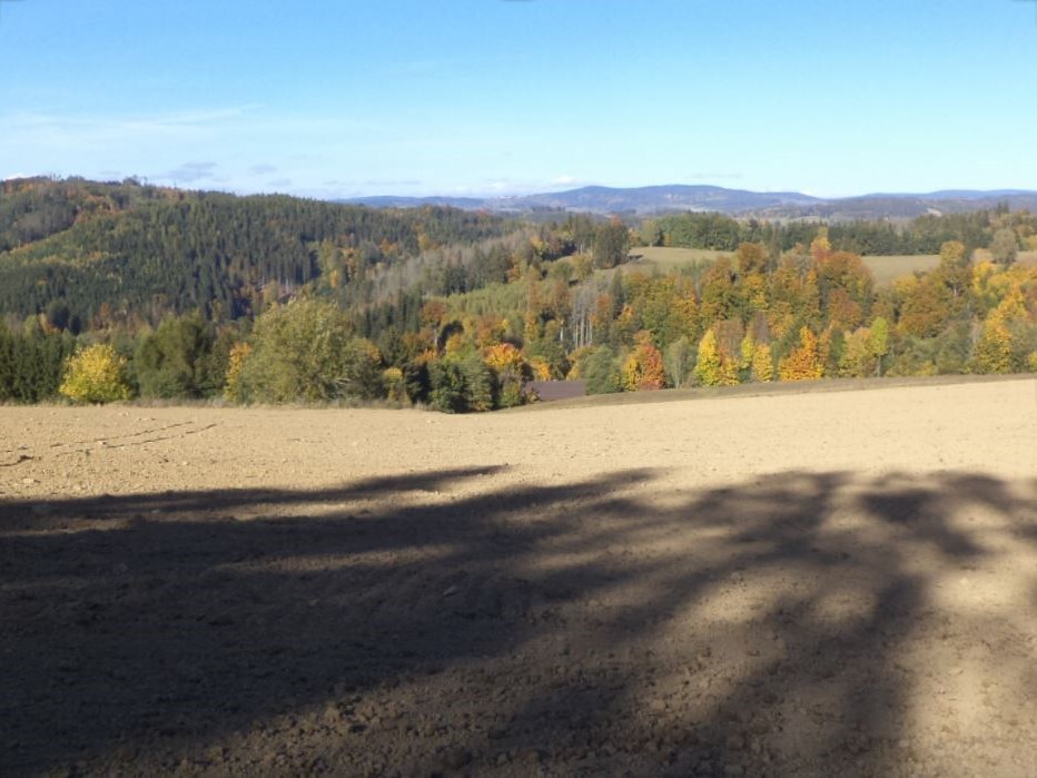 Pozemky o velikosti 4862m2, Spálov u Semil