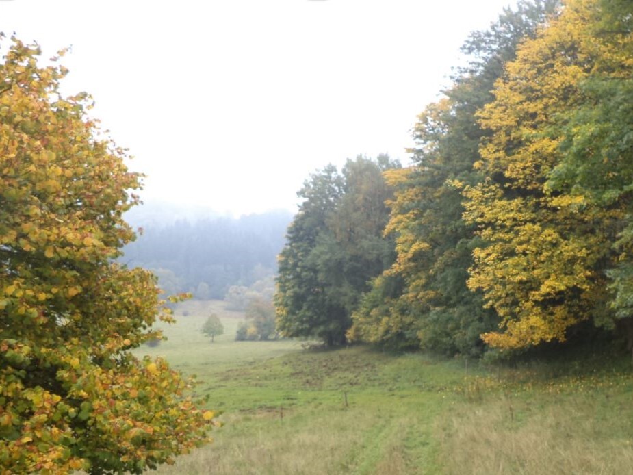 Pozemek o velikosti 35381m2, Málkov u Přimdy