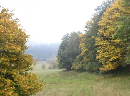 Prodej - pozemek, trvalý travní porost, 35 381 m²