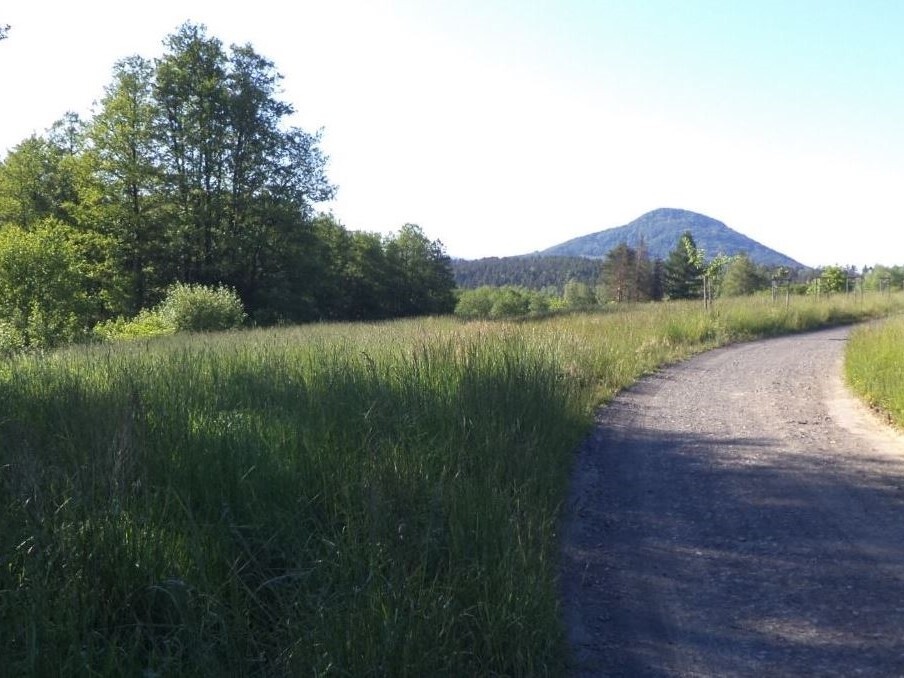 Pozemek o velikosti 7221m2, Markvartice u Děčína