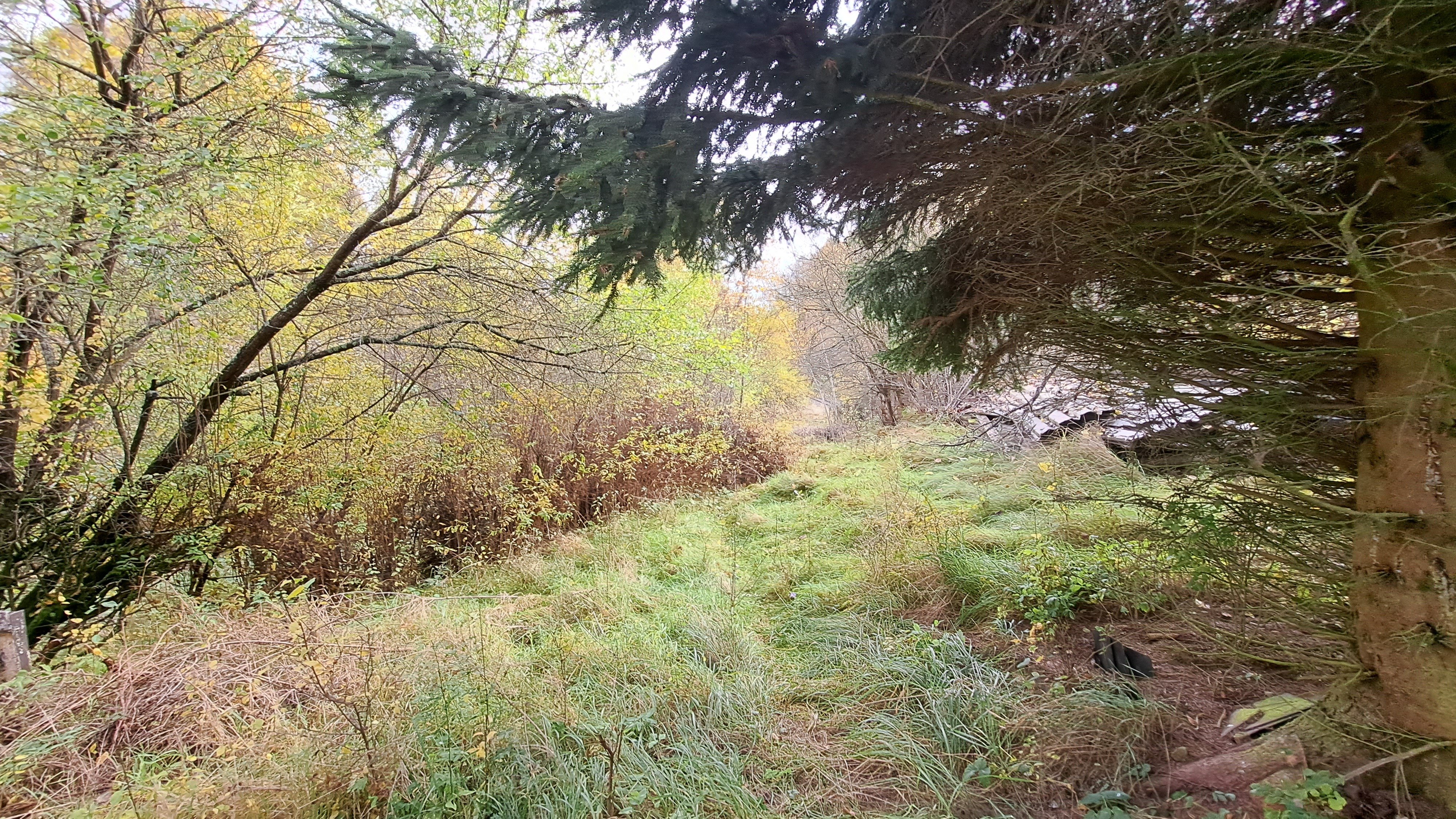 rodinný dům s pozemkem v k.ú. Bělá u Staré Paky, okres Semily