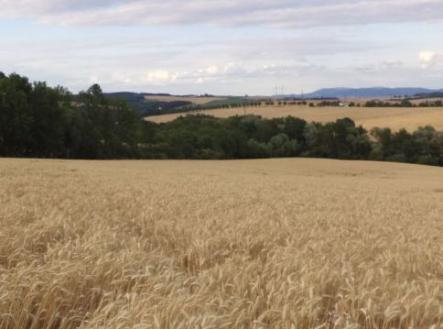 Prodej - pozemek, zemědělská půda, 3 446 m²