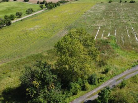 Prodej - pozemek, trvalý travní porost, 4 670 m²