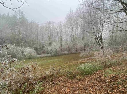 Prodej - pozemek, trvalý travní porost, 1 210 m²