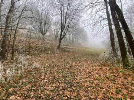 Prodej - pozemek, trvalý travní porost, 1 210 m²