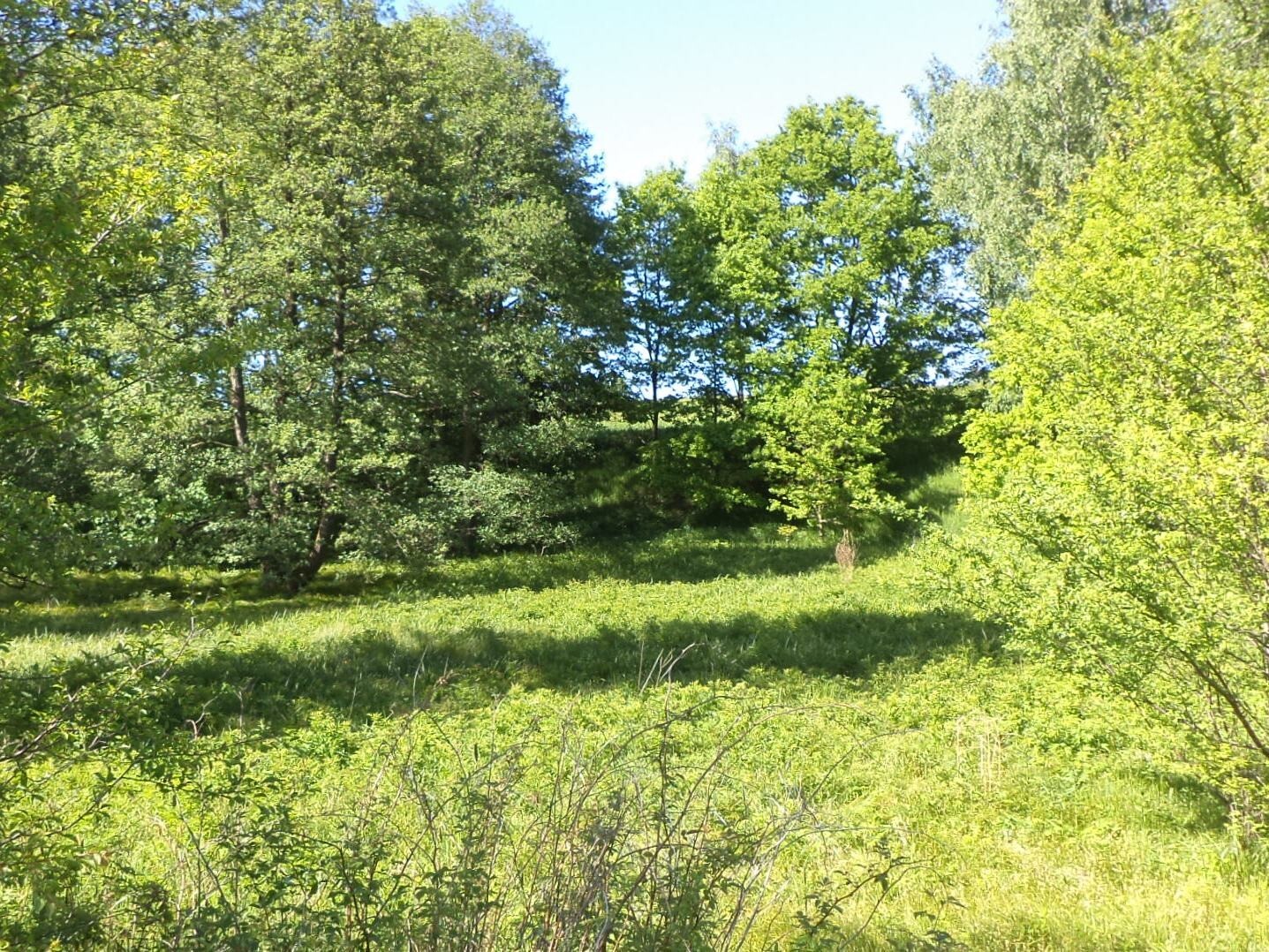 Stavební pozemek o velikosti 21014m2, Staré Křečany