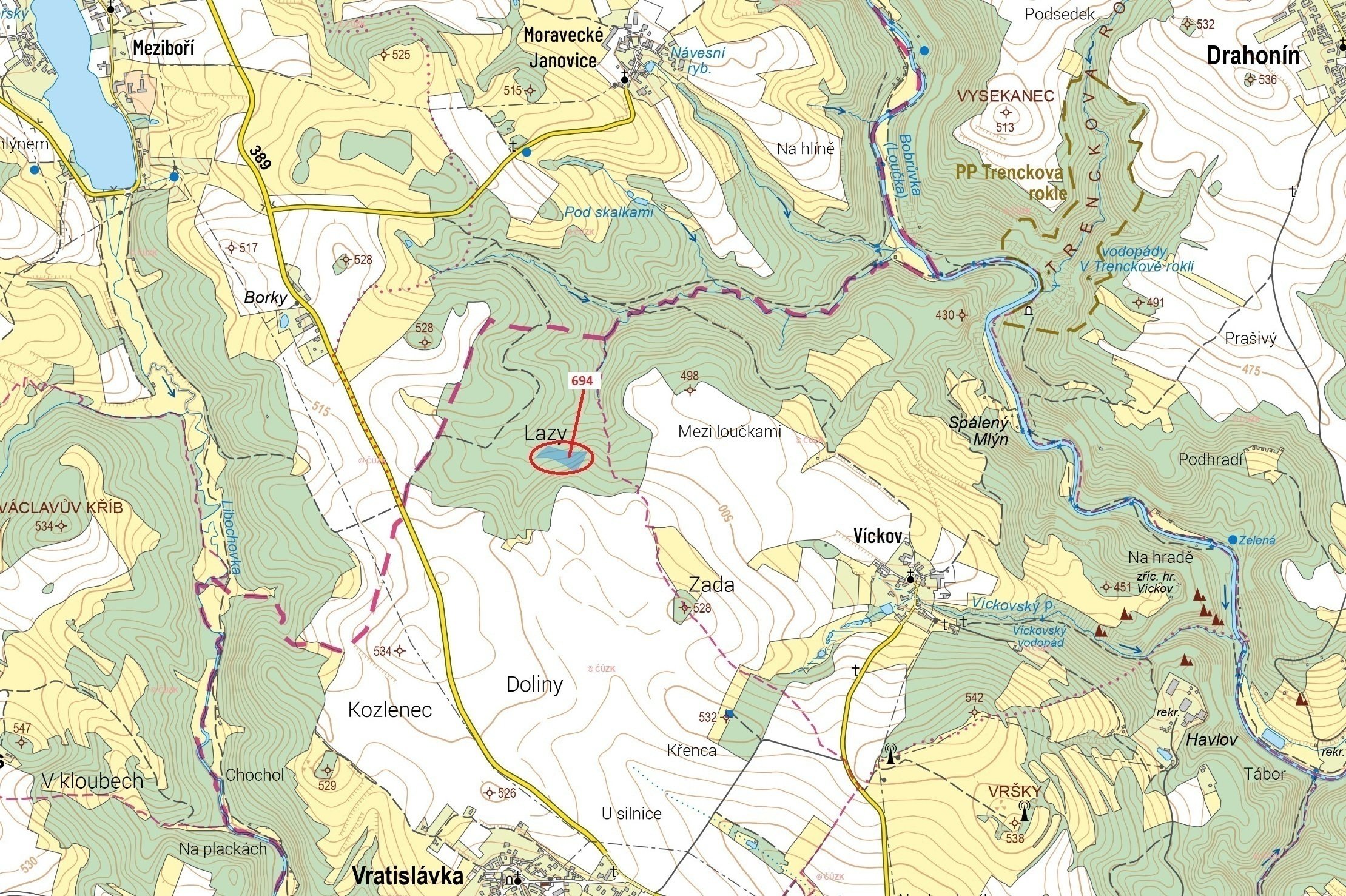 Lesní pozemek o výměře 6334 m2, podíl 1/1, k.ú. Vratislávka, okres Brno-venkov