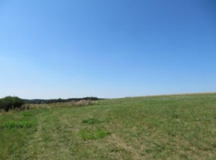 Prodej - pozemek, zemědělská půda, 5 000 m²