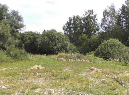 Prodej - pozemek, trvalý travní porost, 13 780 m²