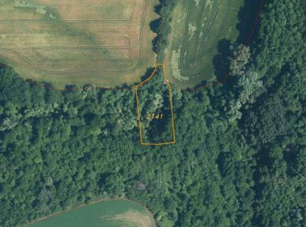 Prodej - pozemek, trvalý travní porost, 4 351 m²