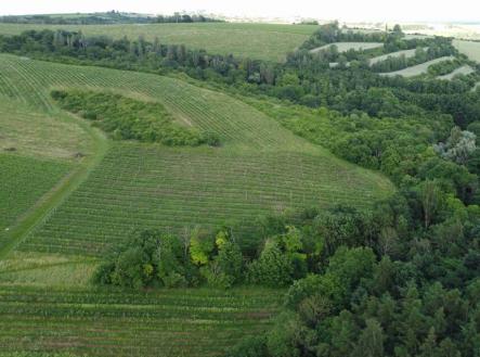 Prodej - pozemek, trvalý travní porost, 4 351 m²