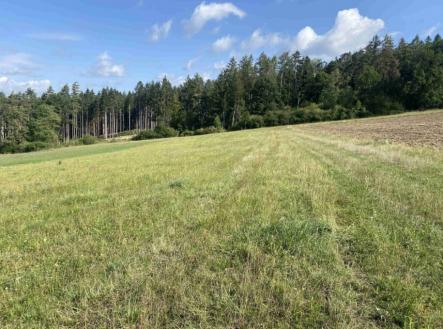 Prodej - pozemek, zemědělská půda, 26 931 m²