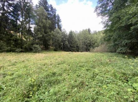 Prodej - pozemek, trvalý travní porost, 7 600 m²
