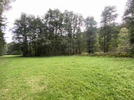Prodej - pozemek, trvalý travní porost, 7 600 m²