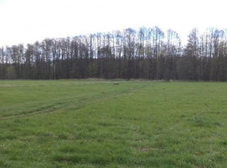 Prodej - pozemek, trvalý travní porost, 45 730 m²
