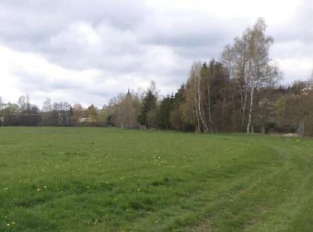 Prodej - pozemek, trvalý travní porost, 45 730 m²