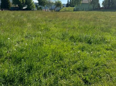 Prodej - pozemek, trvalý travní porost, 1 019 m²