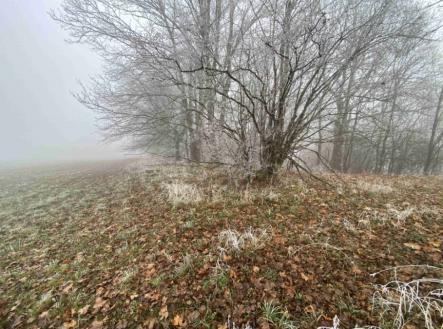 Prodej - pozemek, zemědělská půda, 4 813 m²