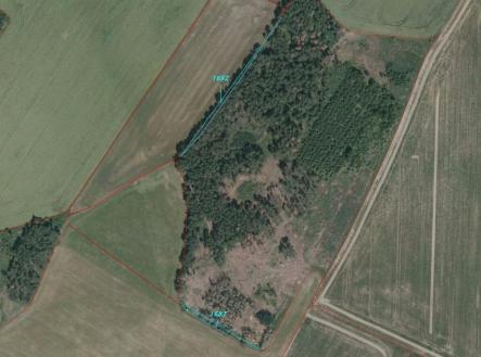 Prodej - pozemek, trvalý travní porost, 5 703 m²