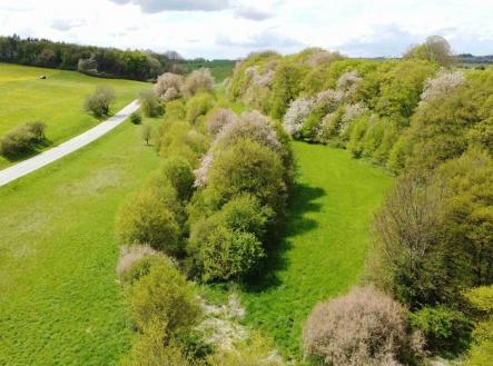 Prodej - pozemek, trvalý travní porost, 7 270 m²