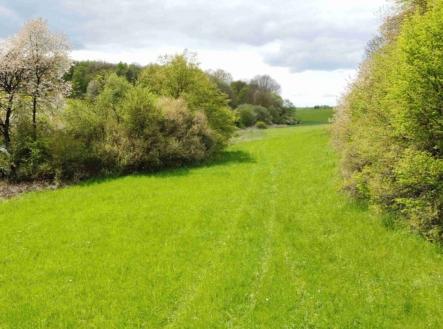Prodej - pozemek, trvalý travní porost, 7 270 m²
