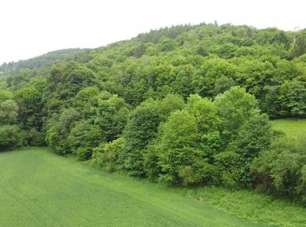Prodej - pozemek, trvalý travní porost, 30 636 m²