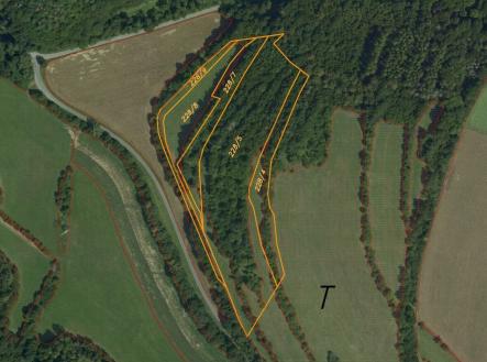 Prodej - pozemek, trvalý travní porost, 30 636 m²