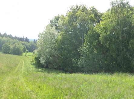 Prodej - pozemek, trvalý travní porost, 2 746 m²